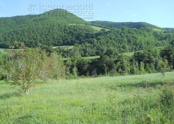 Foto 1 - Terreno edificabile Acqualagna - foto 1