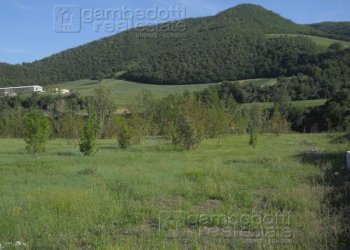 Foto 2 - Terreno edificabile Acqualagna - foto 2