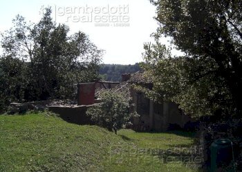 Foto 10 - Rustico Urbino - foto 10