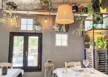 Foto 15 - Attività Commerciale Mondaino - foto 15