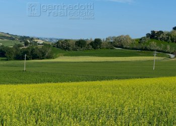 Foto 1 - Terreno edificabile Sant'Ippolito - foto 1
