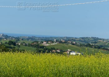 Foto 3 - Terreno edificabile Sant'Ippolito - foto 3