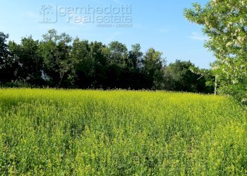 Foto 5 - Terreno edificabile Sant'Ippolito - foto 5