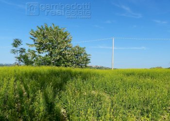 Foto 6 - Terreno edificabile Sant'Ippolito - foto 6