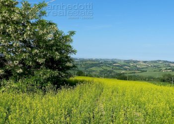 Foto 7 - Terreno edificabile Sant'Ippolito - foto 7