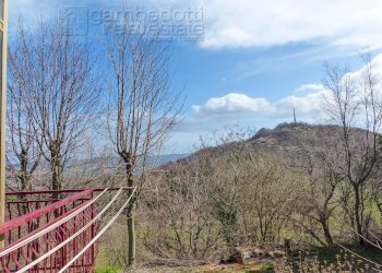 Foto 13 - Appartamento Urbino - foto 13