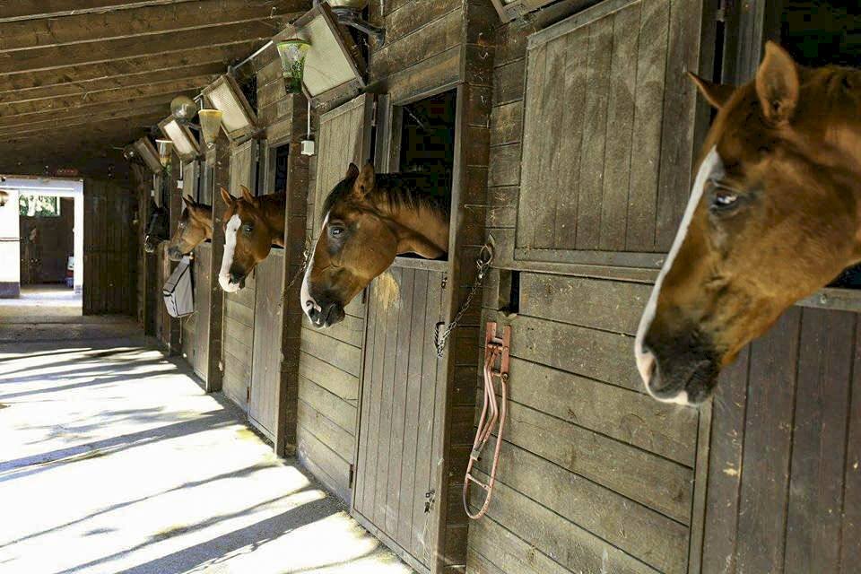 Foto 1 - Attività Commerciale Pesaro - foto 1