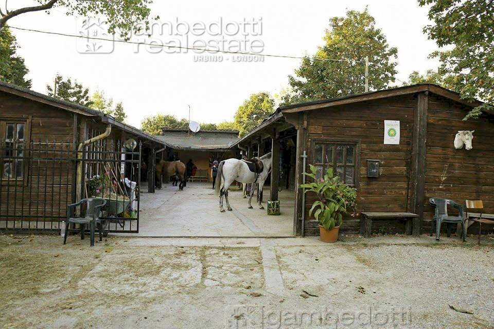 Foto 2 - Attività Commerciale Pesaro - foto 2