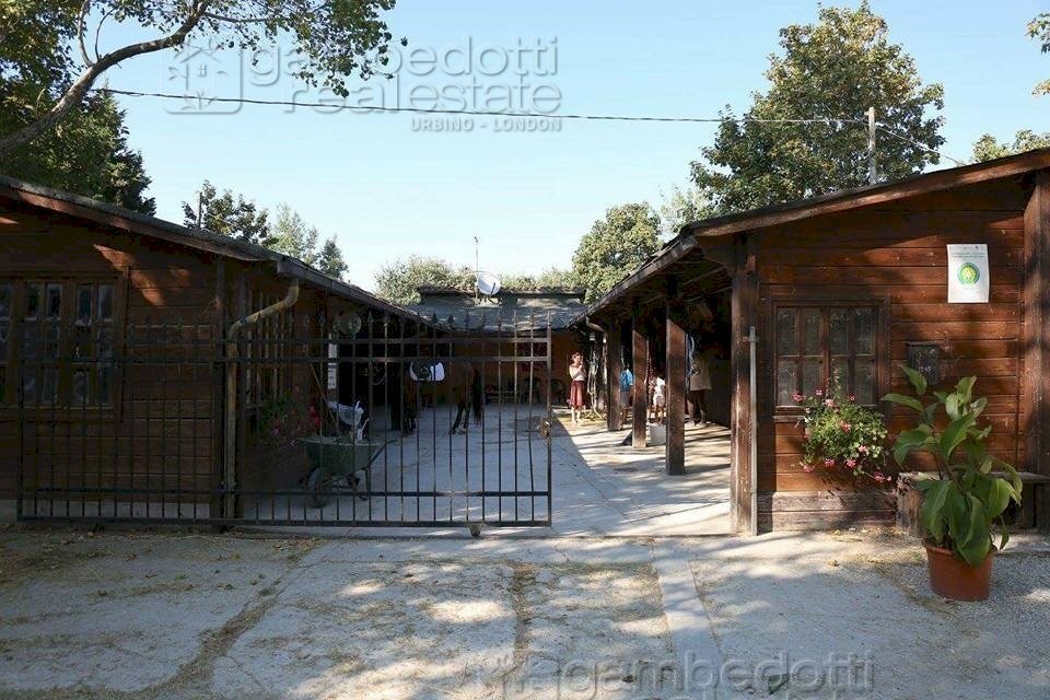 Foto 3 - Attività Commerciale Pesaro - foto 3