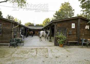 Foto 2 - Attività Commerciale Pesaro - foto 2