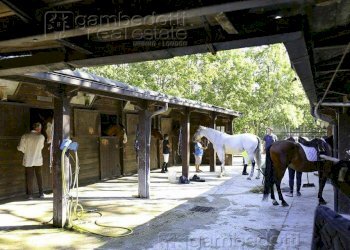 Foto 5 - Attività Commerciale Pesaro - foto 5