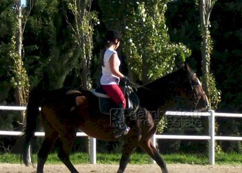 Foto 8 - Attività Commerciale Pesaro - foto 8