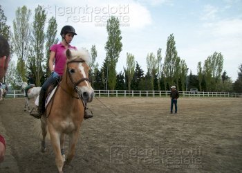 Foto 10 - Attività Commerciale Pesaro - foto 10