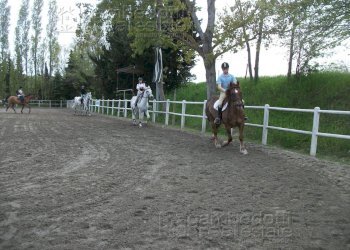 Foto 11 - Attività Commerciale Pesaro - foto 11