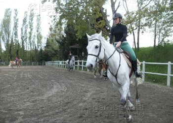 Foto 12 - Attività Commerciale Pesaro - foto 12