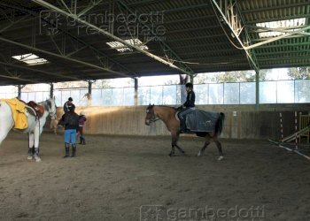 Foto 15 - Attività Commerciale Pesaro - foto 15