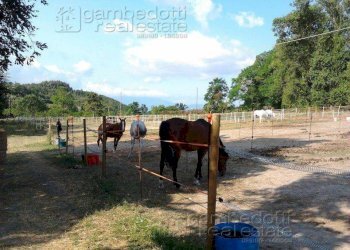 Foto 16 - Attività Commerciale Pesaro - foto 16