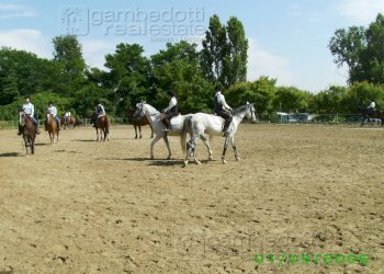 Foto 17 - Attività Commerciale Pesaro - foto 17