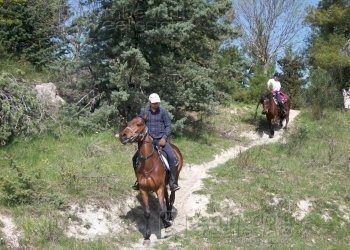 Foto 19 - Attività Commerciale Pesaro - foto 19