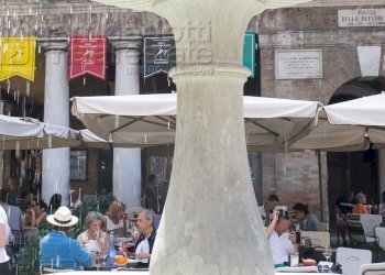 Foto 16 - Bar Tavola Calda - Fredda Urbino - foto 16