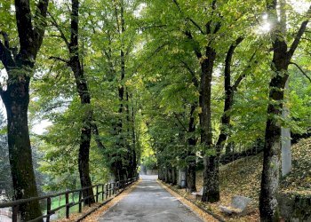 Foto 14 - Independent house Apecchio - photo 14