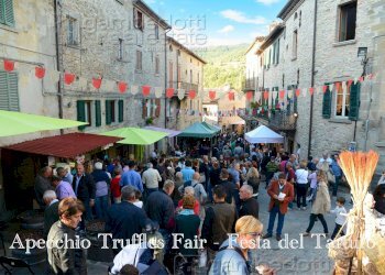 Foto 16 - Independent house Apecchio - photo 16