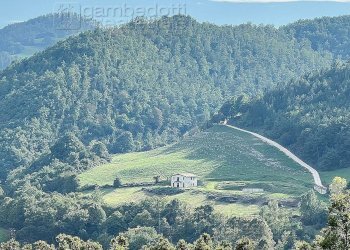 Foto 17 - Independent house Apecchio - photo 17