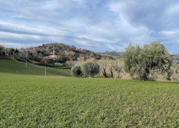 Foto 7 - Rustico petritoli, Petritoli - foto 7