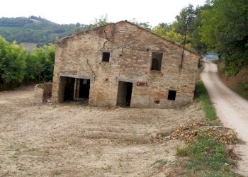 Foto 4 - Rustico Petritoli - foto 4