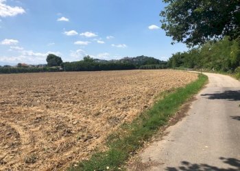 Foto 1 - Terreno agricolo via fiobbo, Spinetoli - foto 1