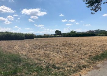 Foto 2 - Terreno agricolo via fiobbo, Spinetoli - foto 2