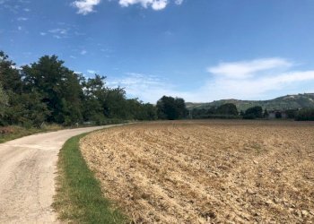 Foto 3 - Terreno agricolo via fiobbo, Spinetoli - foto 3