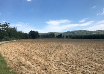 Foto 5 - Terreno agricolo via fiobbo, Spinetoli - foto 5