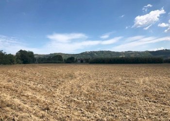 Foto 6 - Terreno agricolo via fiobbo, Spinetoli - foto 6