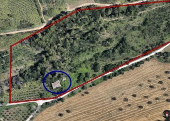 Foto 3 - Rustic col di tenda, Grottammare - photo 3