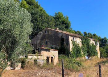 Foto 12 - Rustic col di tenda, Grottammare - photo 11