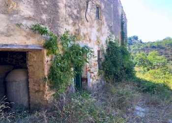 Foto 17 - Rustic col di tenda, Grottammare - photo 14