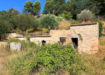 Foto 25 - Rustic col di tenda, Grottammare - photo 22