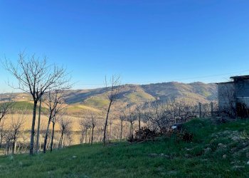 Foto 6 - Casa indipendente contrada san venanzo
 
57, Castignano - foto 6