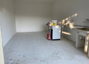 Foto 16 - Casa indipendente contrada san venanzo
 
57, Castignano - foto 16