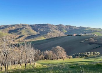 Foto 20 - Casa indipendente contrada san venanzo
 
57, Castignano - foto 20