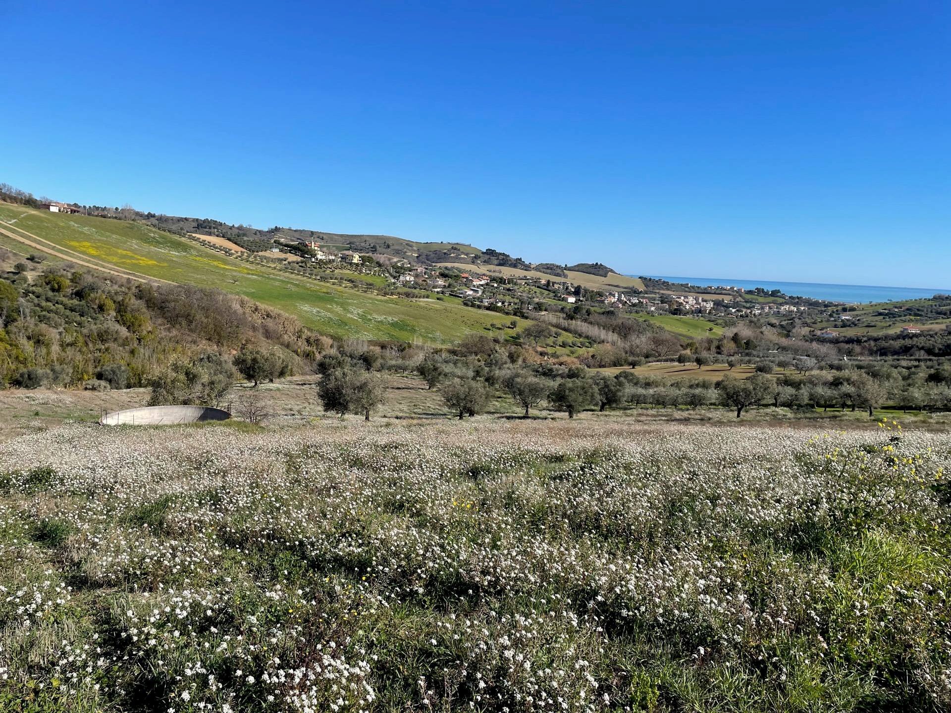 Foto 2 - Terreno agricolo Acquaviva Picena - foto 2