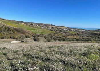 Foto 2 - Agricultural land Acquaviva Picena - photo 2