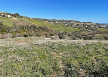 Foto 4 - Agricultural land Acquaviva Picena - photo 4