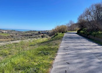 Foto 5 - Agricultural land Acquaviva Picena - photo 5