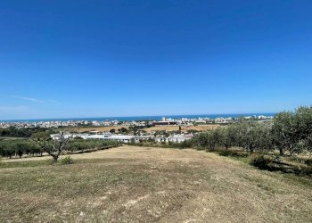 Foto 4 - Terreno agricolo via monte aquilino, San Benedetto del Tronto - foto 4