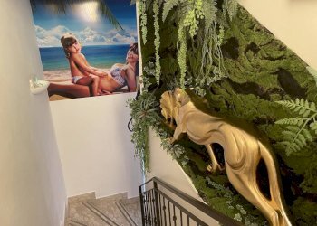 Foto 12 - Hotel Alba Adriatica - foto 12