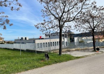 Foto 9 - Capannone Altidona - foto 9