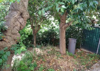 Foto 48 - Casa indipendente piazza della liberta
 
18, Acquaviva Picena - foto 48