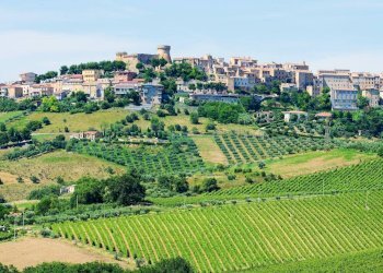 Foto 50 - Casa indipendente piazza della liberta
 
18, Acquaviva Picena - foto 50